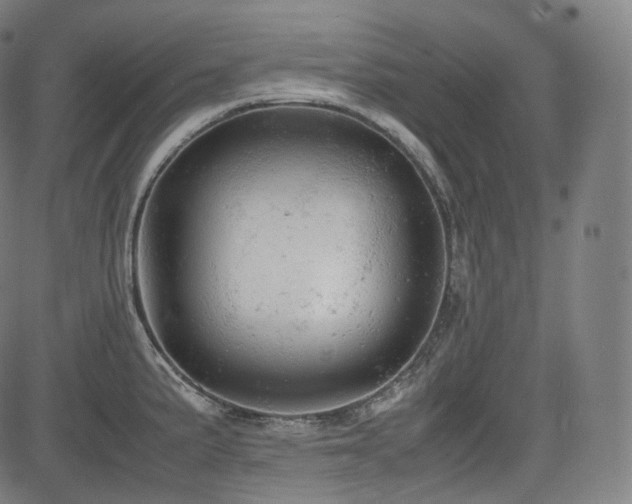 X0000085271191200703091344