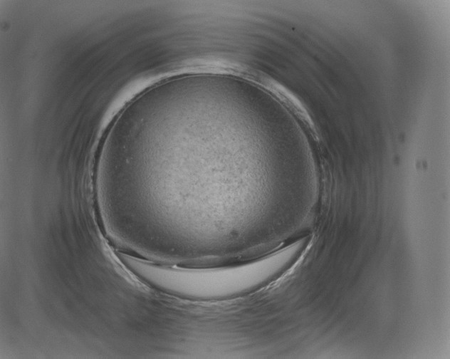 X0000085271192200703091344