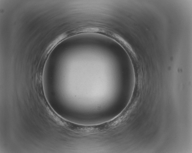 X0000085271193200703091344