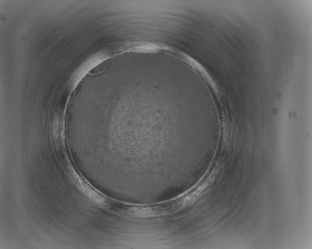 X0000085271194200703091344