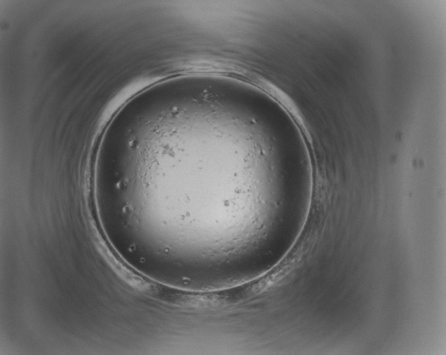 X0000085271195200703091344