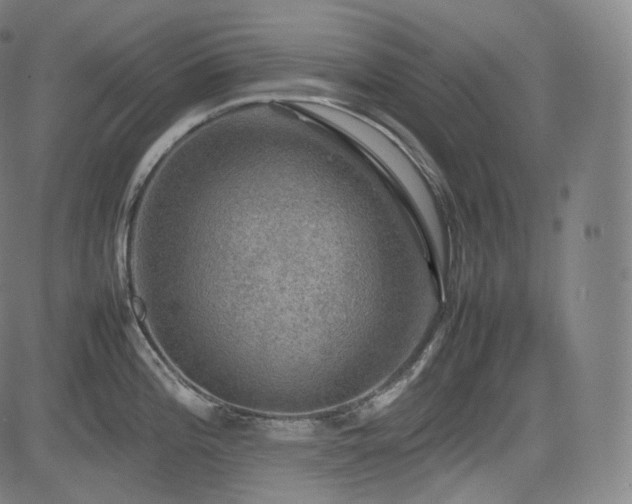 X0000085271196200703091344