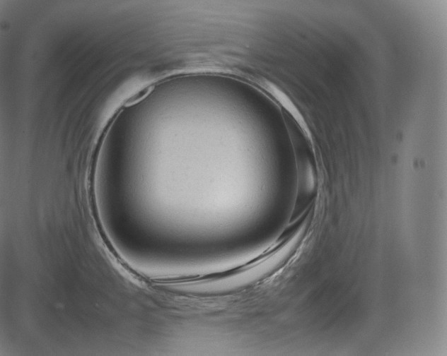 X0000085271197200703091344