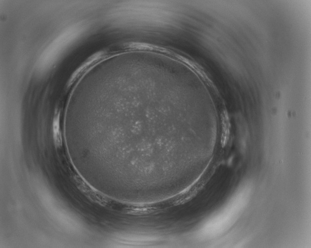 X0000085271198200703091344