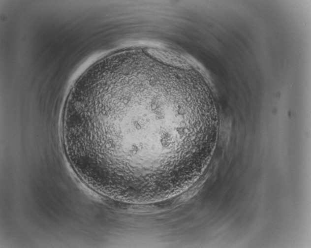 X0000085271199200703091344