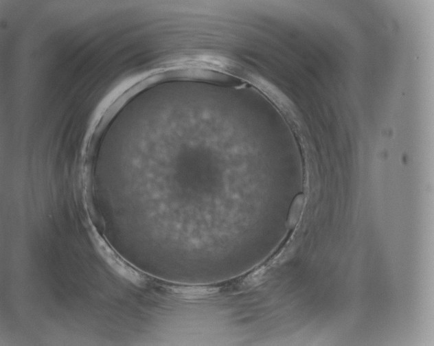 X0000085271200200703091344