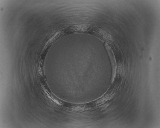 X0000085271202200703091343