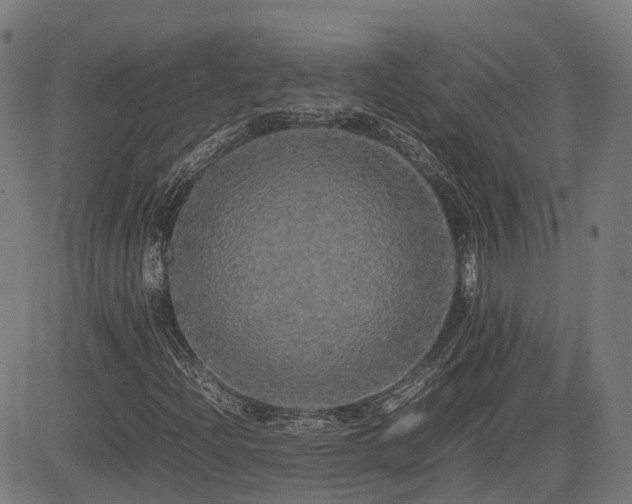 X0000085271204200703091343