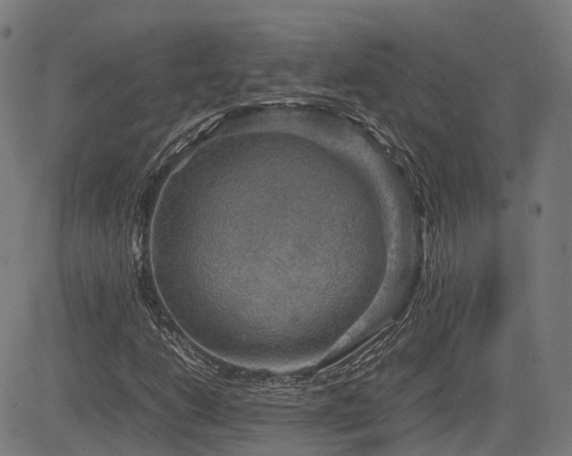 X0000085271206200703091343