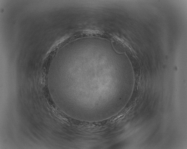 X0000085271207200703091343