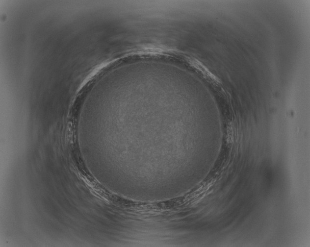 X0000085271208200703091343