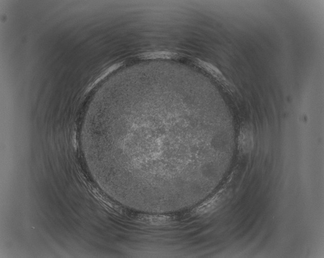 X0000085271209200703091343