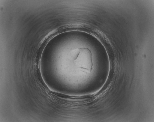 X0000085271210200703091343