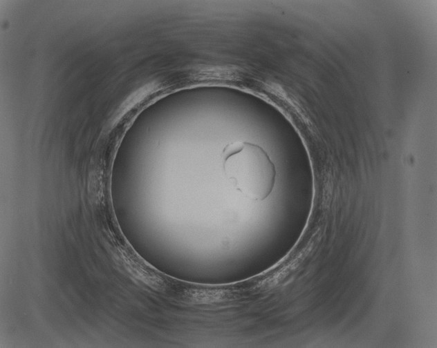 X0000085271211200703091343