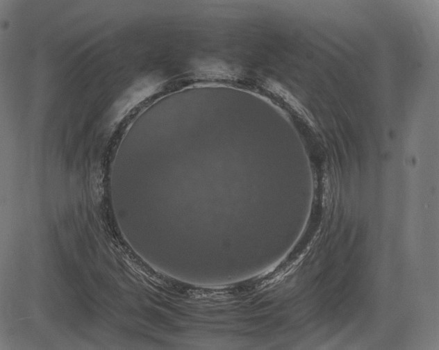 X0000085271213200703091343