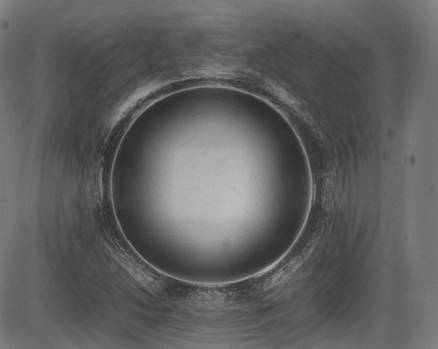 X0000085271214200703091343