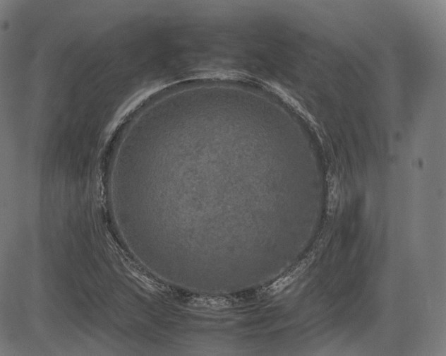 X0000085271215200703091343