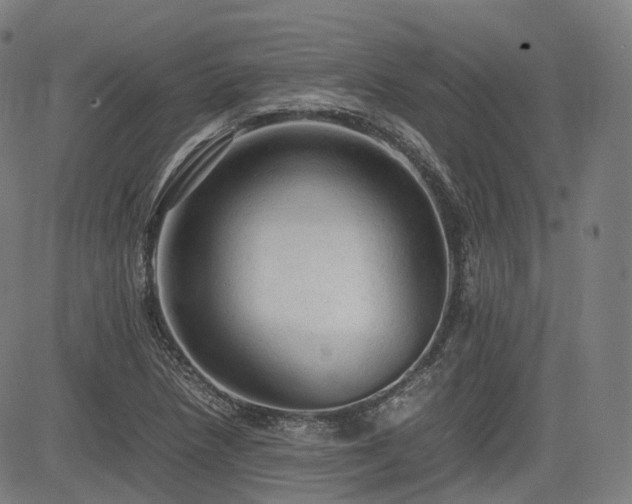 X0000085271218200703091343