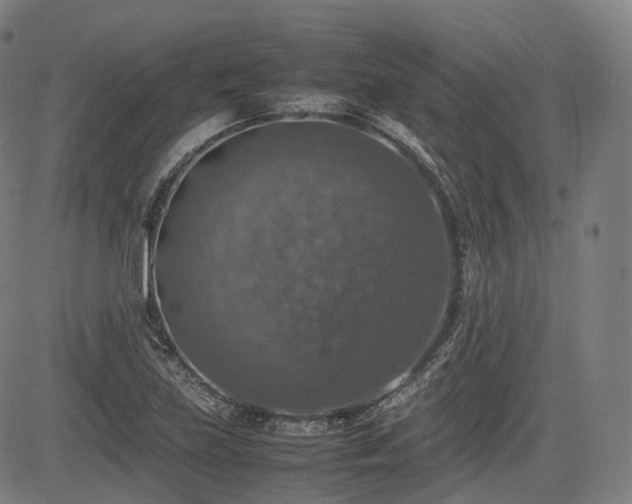 X0000085271219200703091343