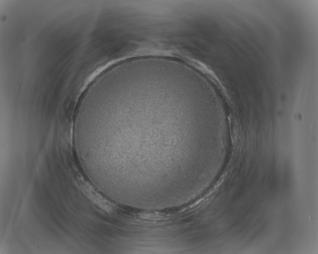 X0000085271220200703091343