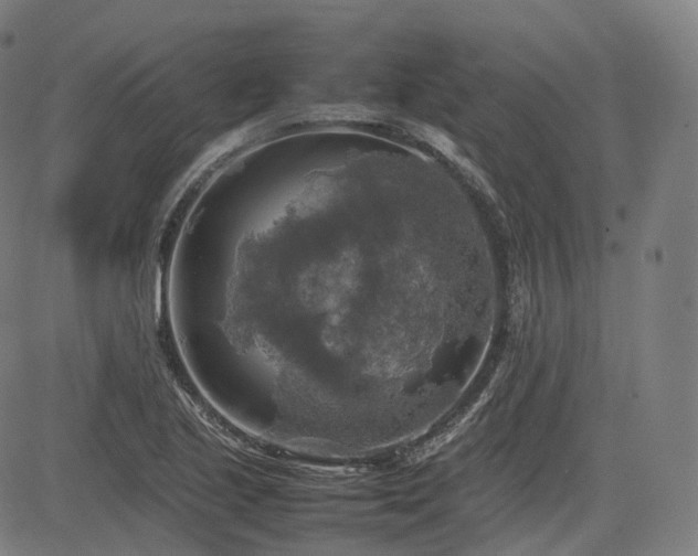 X0000085271221200703091343