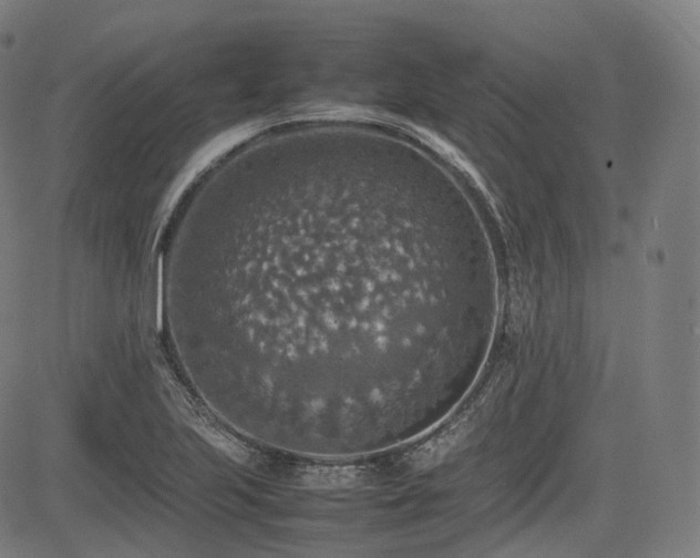 X0000085271223200703091343