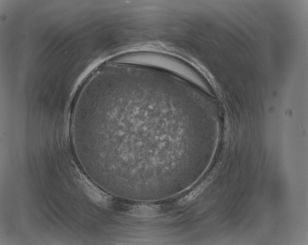 X0000085271224200703091343