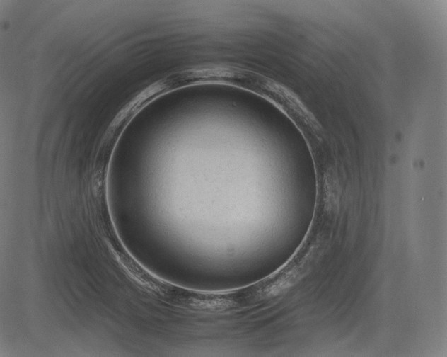 X0000085271225200703091343