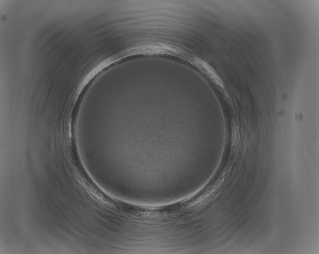 X0000085271226200703091343