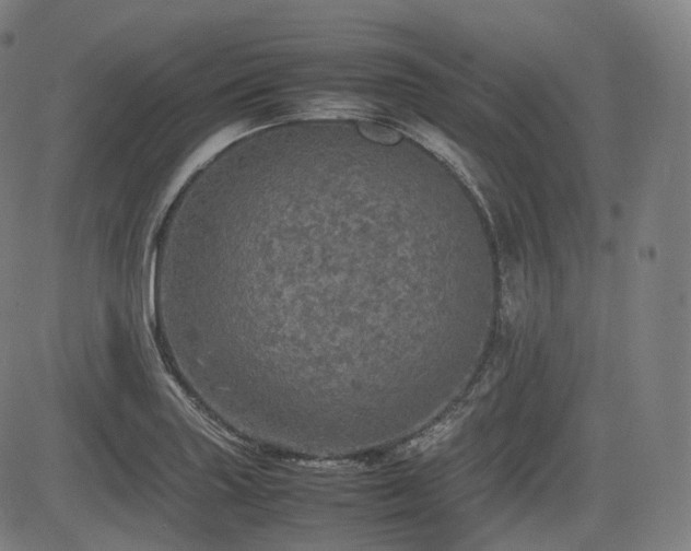 X0000085271227200703091343