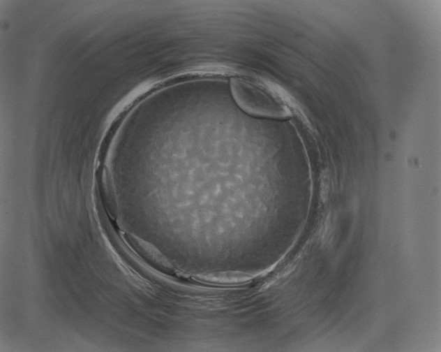 X0000085271229200703091343