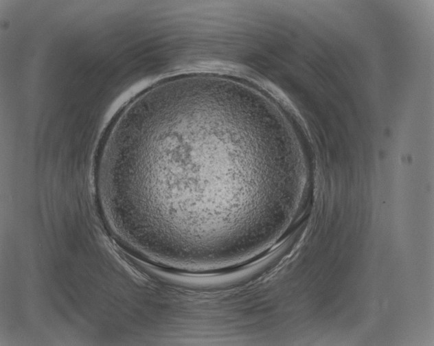 X0000085271230200703091343