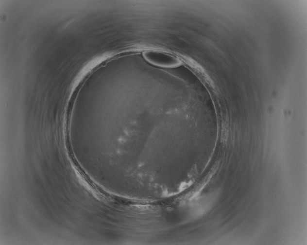 X0000085271231200703091343