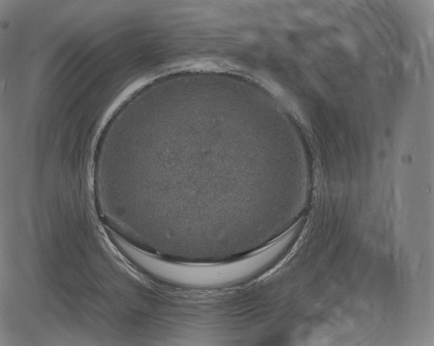 X0000085271232200703091343