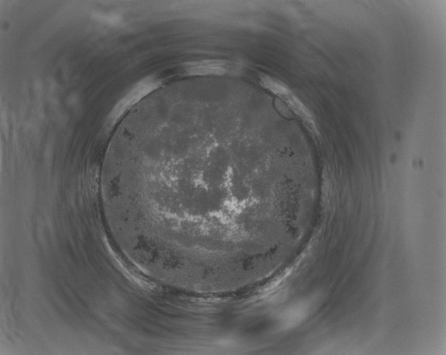 X0000085271233200703091343