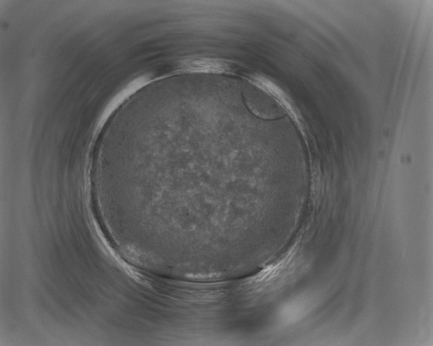 X0000085271235200703091344