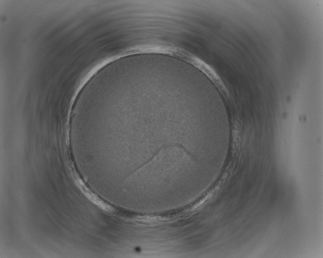 X0000085271236200703091344