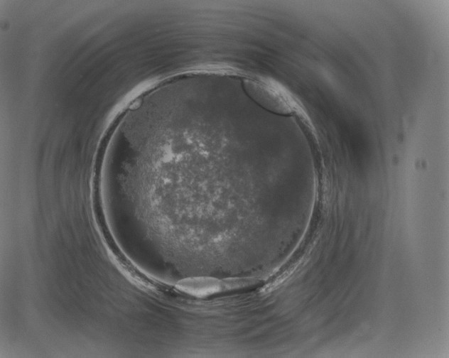 X0000085271237200703091344