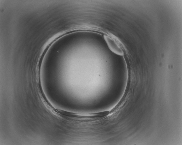 X0000085271238200703091344