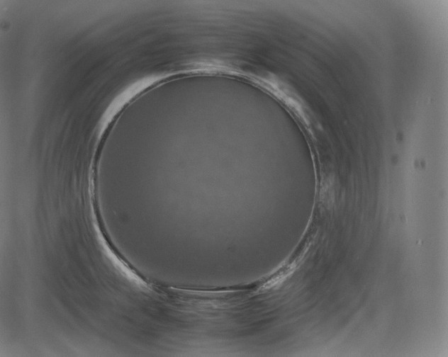 X0000085271239200703091344