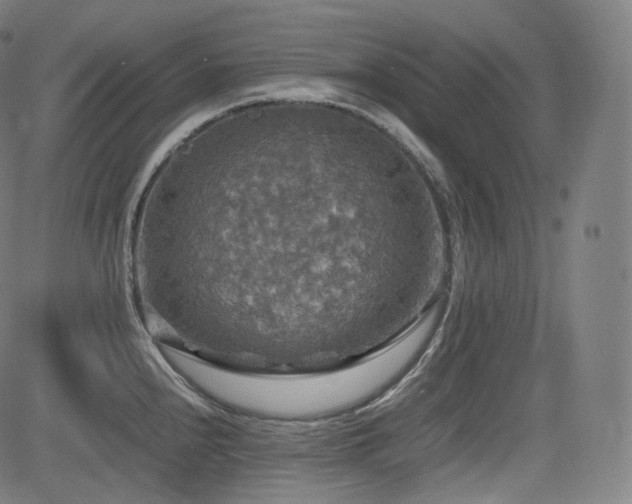 X0000085271240200703091344