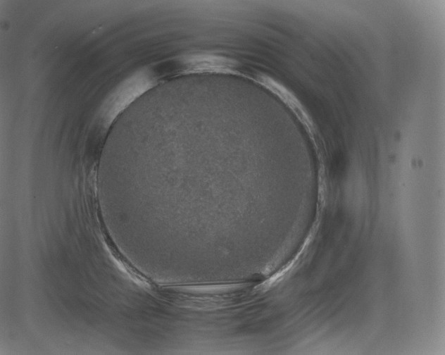 X0000085271241200703091344