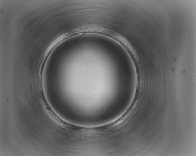 X0000085271242200703091344