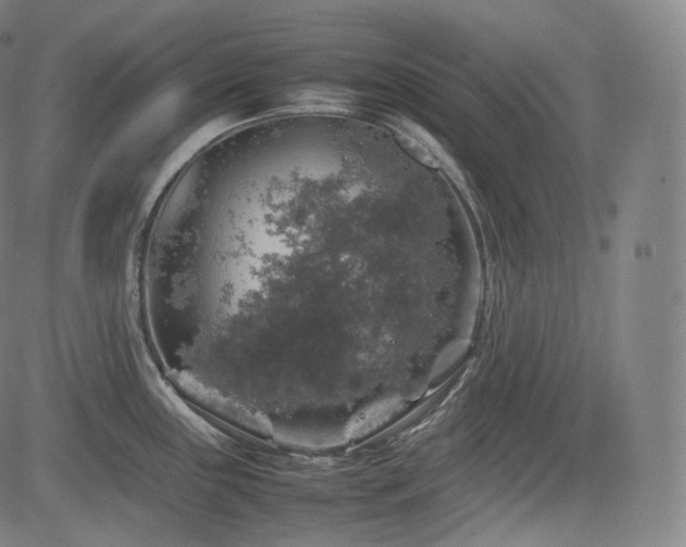 X0000085271243200703091344