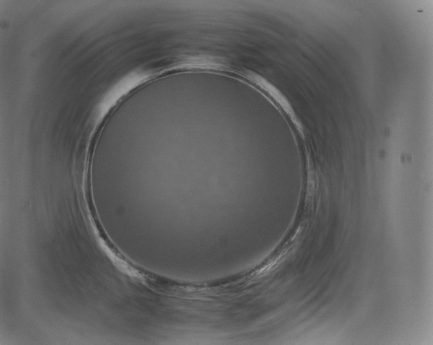 X0000085271245200703091344