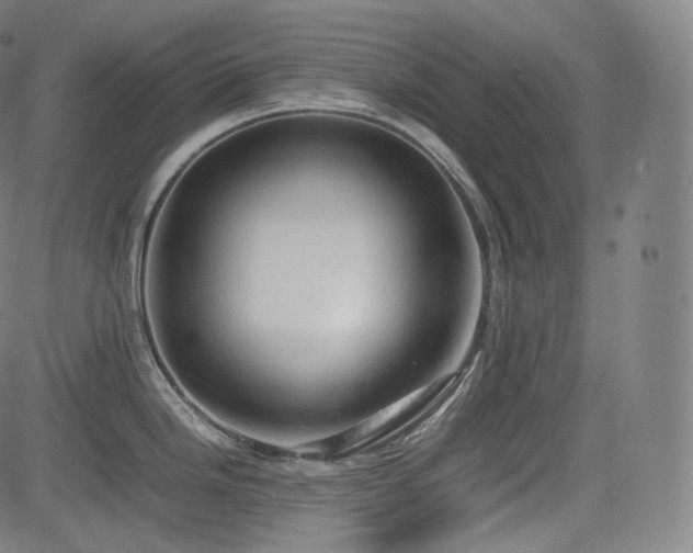 X0000085271246200703091344