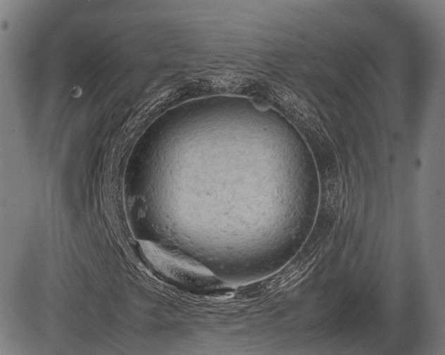 X0000085271249200703091343