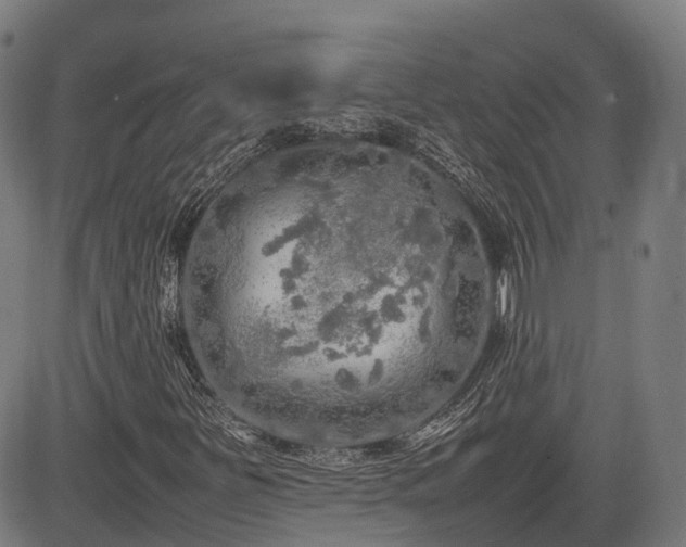 X0000085271251200703091343