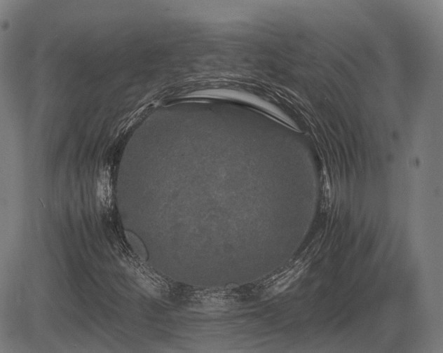 X0000085271252200703091343