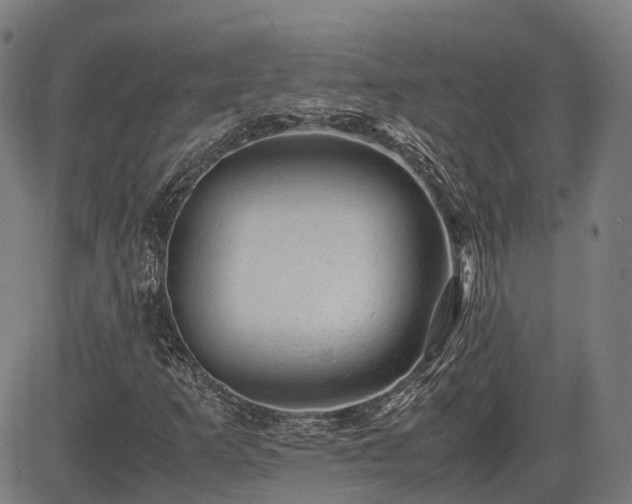 X0000085271253200703091343